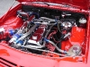 resized_dsc06336